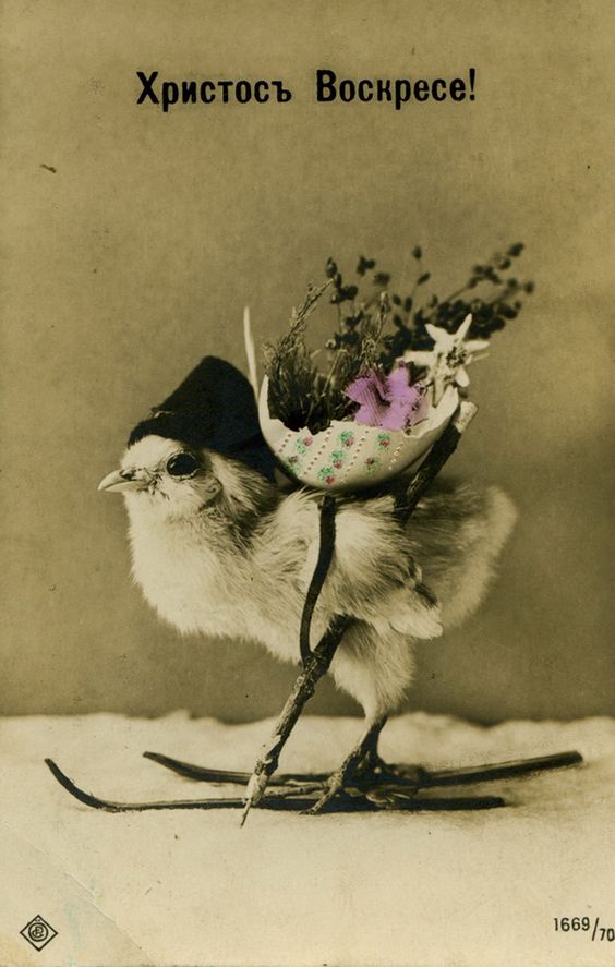 6bd1e118e5ae8678e7ea337cca58fa6a