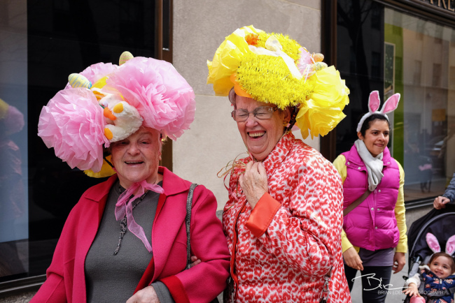 8607373259_e5bb90eeef_b1