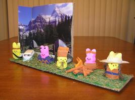 OLYMPUS DIGITAL CAMERA