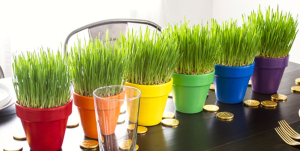 screen-shot-2020-01-15-at-3-46-40-pm-1579121218